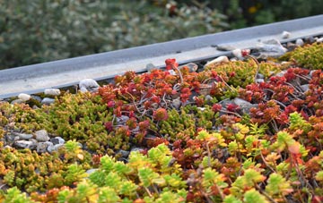 the cost of Turlin Moor green roof installation