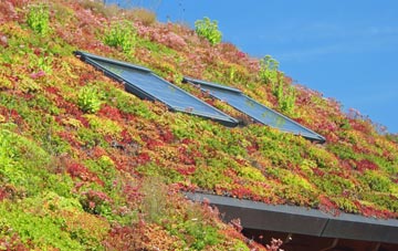 Turlin Moor living roof systems