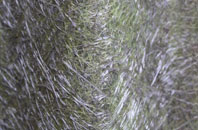 Turlin Moor fibreglass roof work