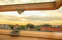 rated Turlin Moor roof window companies
